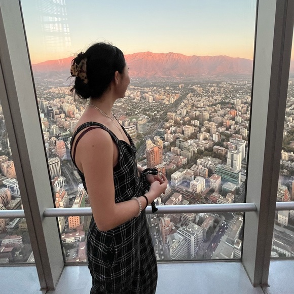 Meet your Posher, Cat - Picture 1 of 1